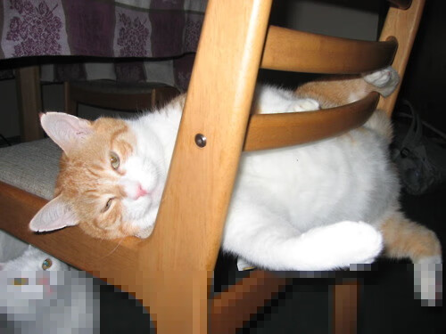 开云全站-休赛期投资动向：哪些球队目标体系大升级？，休赛期球员都在干嘛