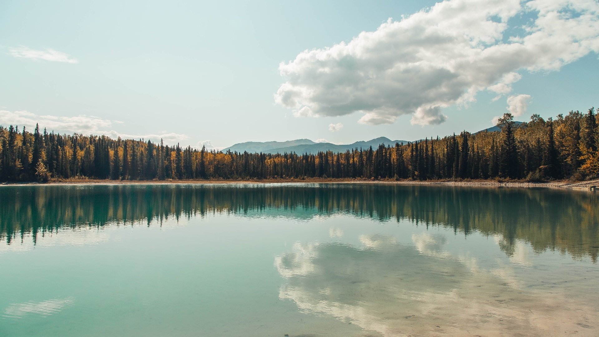 巴西举办篮球青少年培训营，巴西篮协