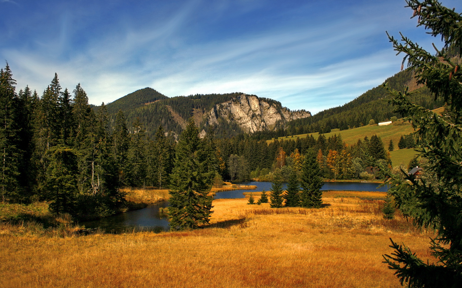 kaiyun官方入口登录-战队青训体系助力新星成长，职业战队青训营