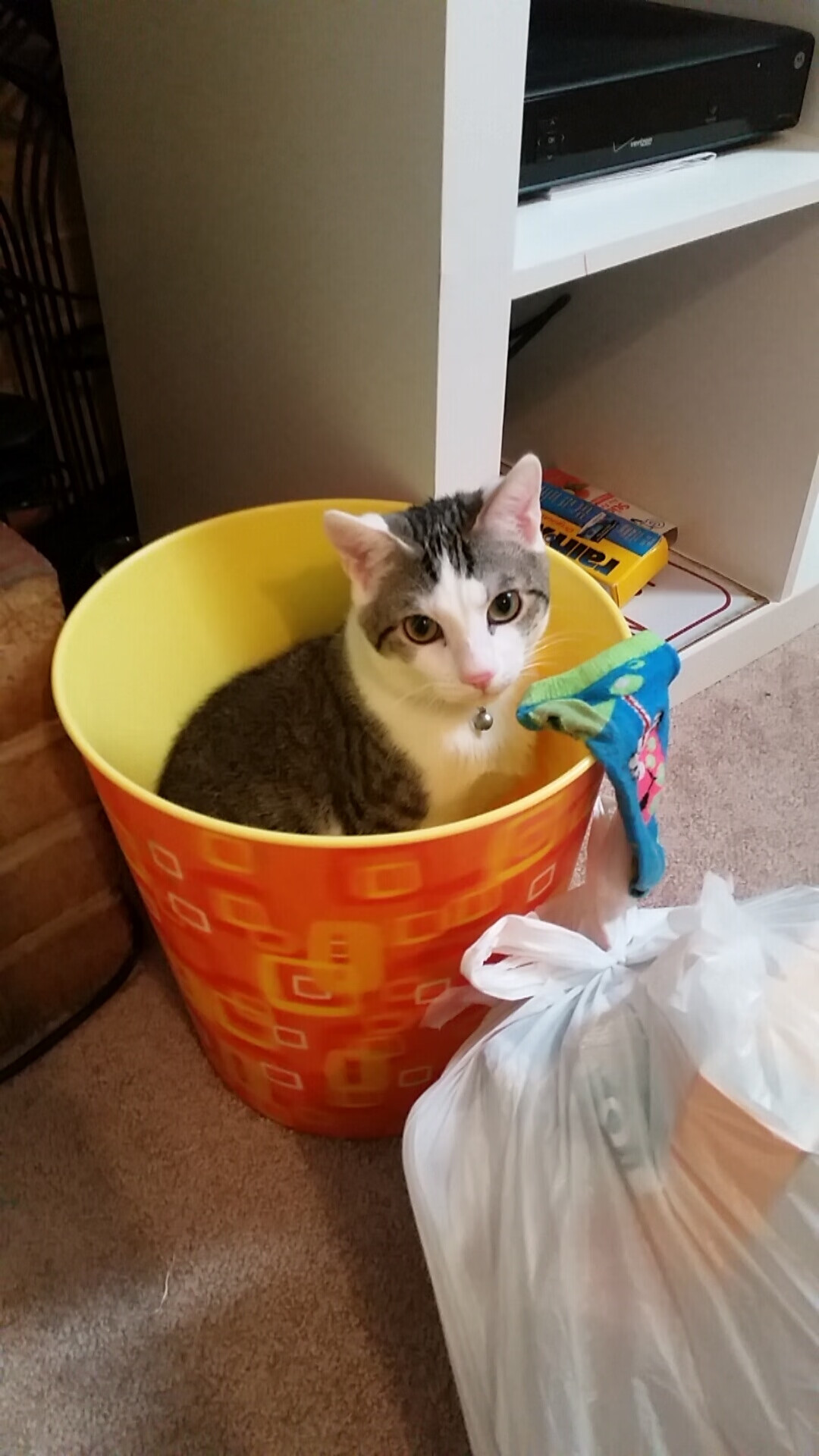 本泽马转会至利雅得胜利,本泽马现在效力球队