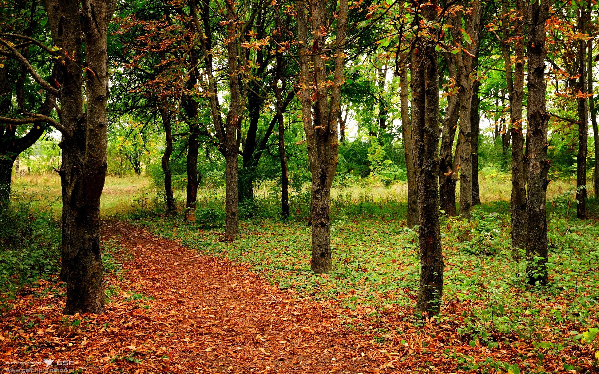 kaiyun登录入口-跨界合作新模式：电竞与时尚、影视的深度融合，电竞生态跨界融合