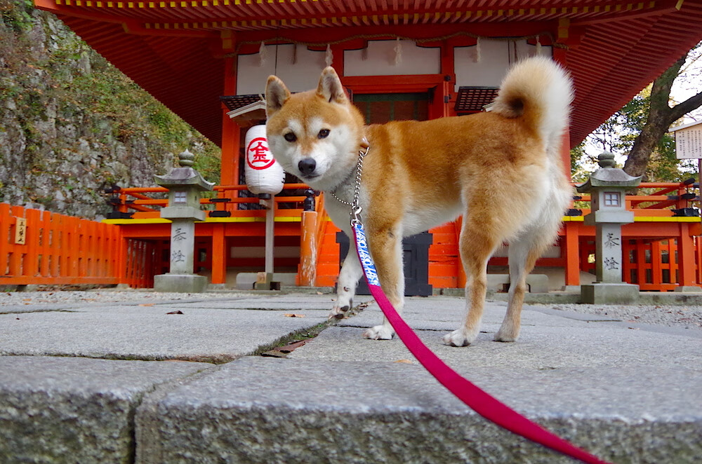开云中国大陆-青少年篮球“球鞋文化节”在广州精彩呈现，融合艺术与运动，青少年 篮球鞋