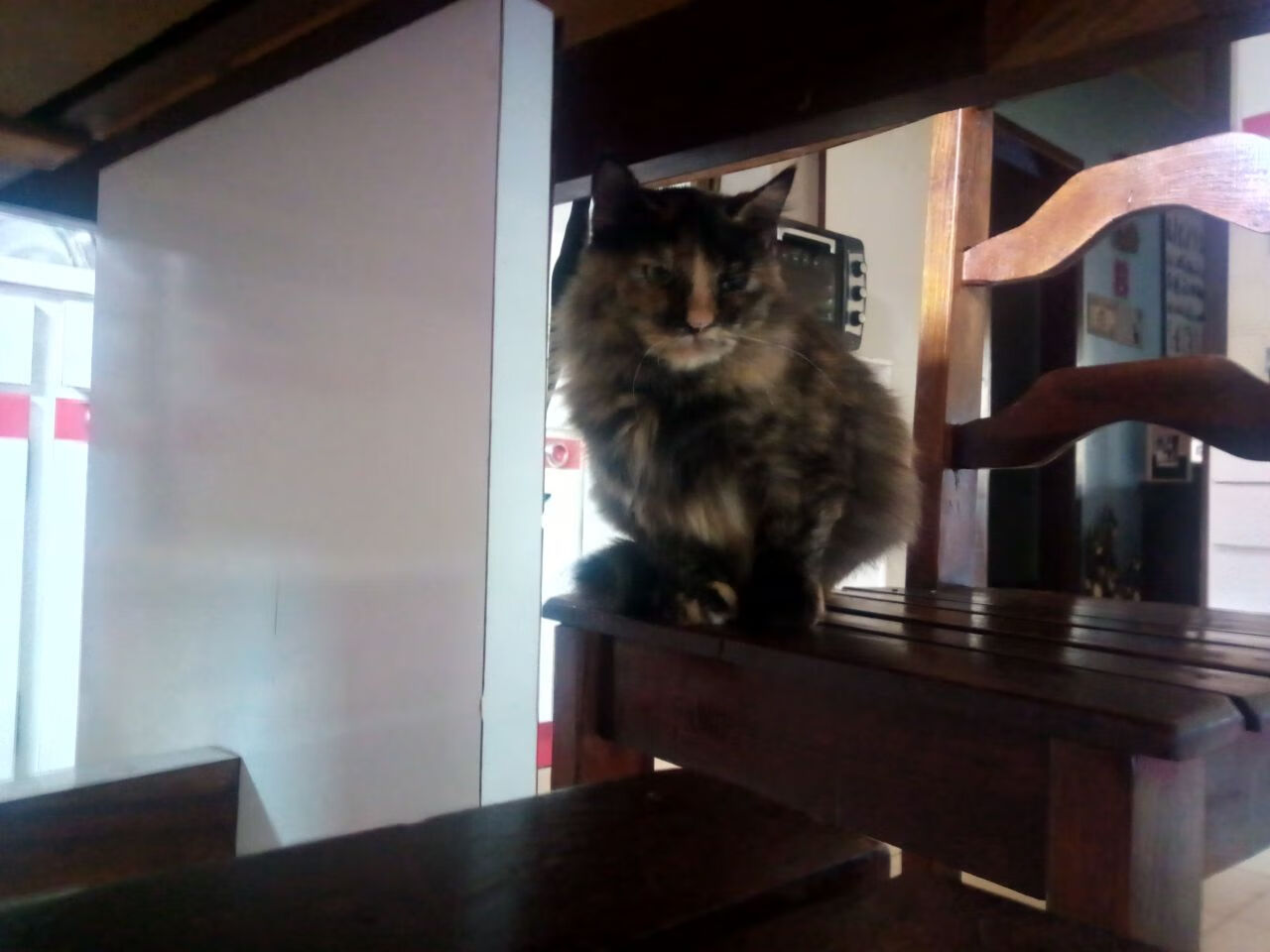 开云中国-切尔西主场逆转胜曼联，豪取胜利，切尔西主场逆转胜曼联,豪取胜利是哪一年