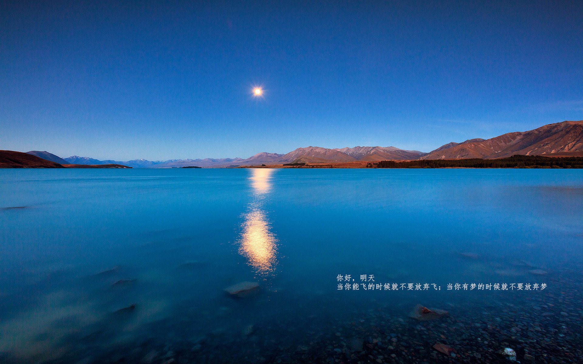 开云中国-土耳其队奋勇拼搏，欧国联对手难以抗衡，欧国联 土耳其