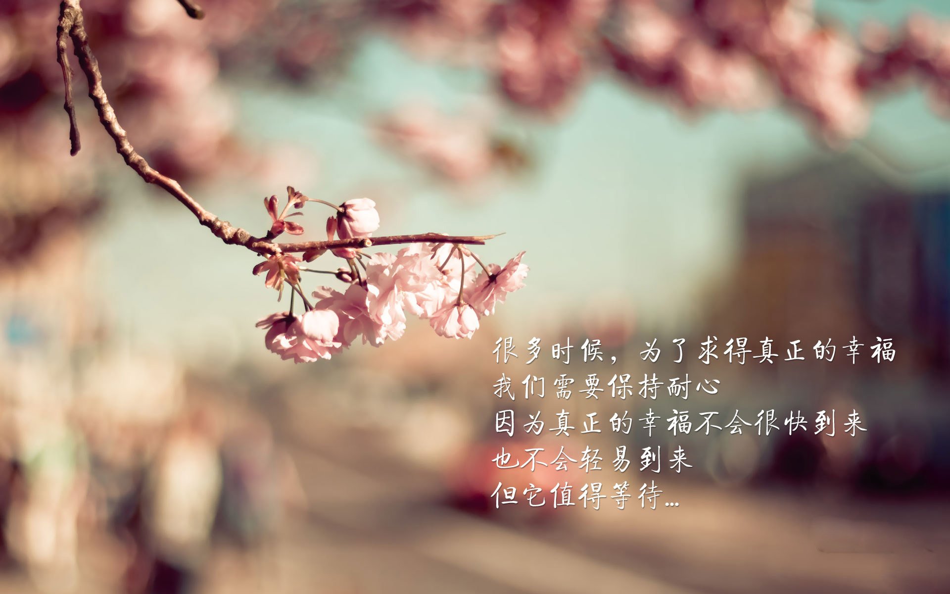 开云首页登录-女足世界杯中国队备战动态，本届女足世界杯中国队