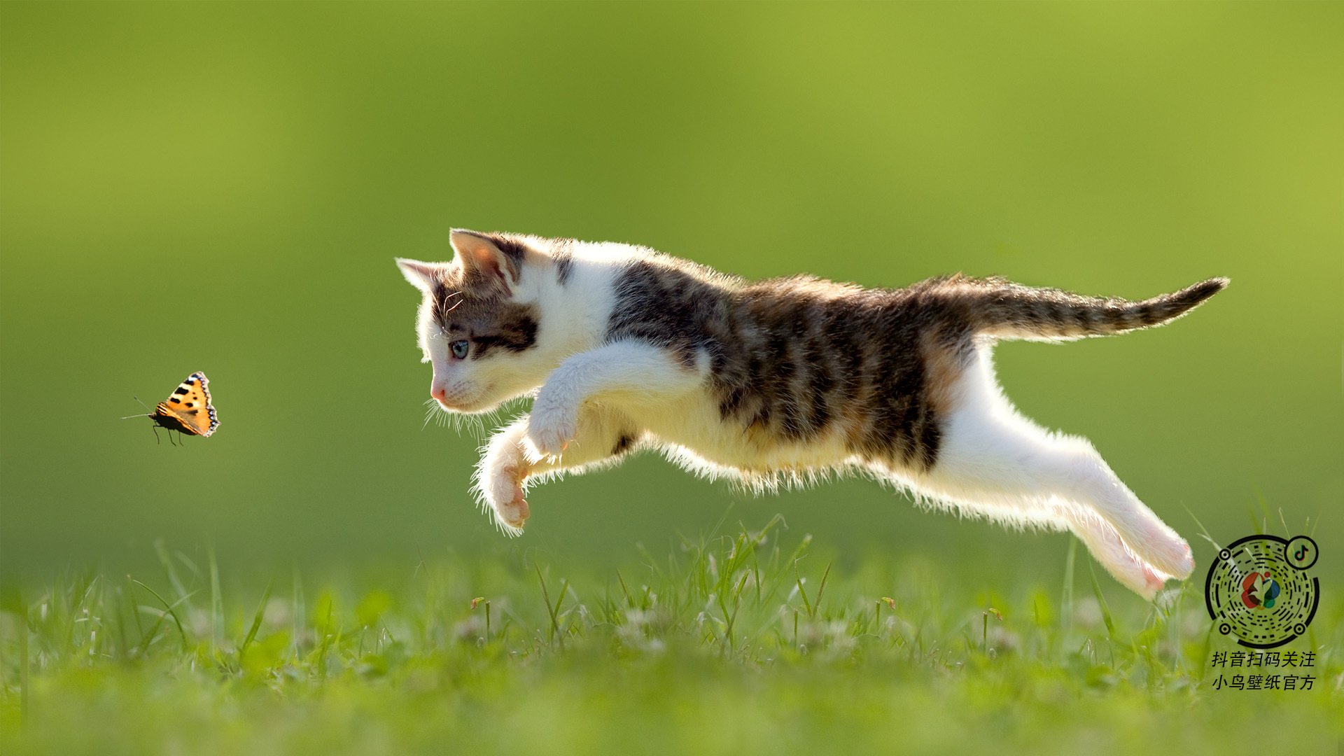 女足世界杯历史最佳射手排行榜，女足世界杯最佳成绩