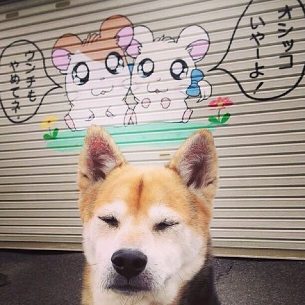 气势如虹,女足比赛选手状态回勇,女足回家了