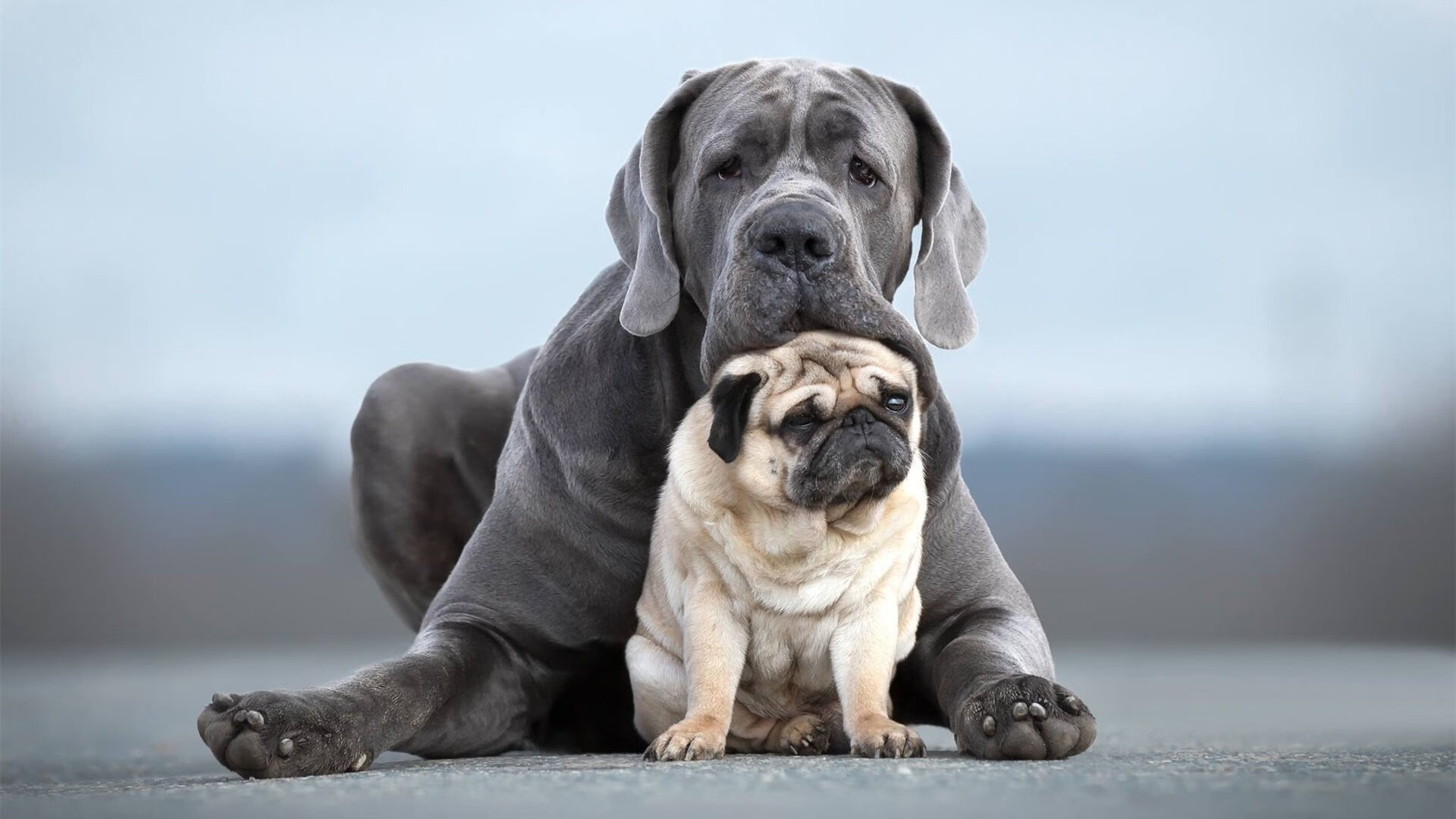 开云官网登录-琉球黄金国王球迷支持热烈，琉球王国老照片