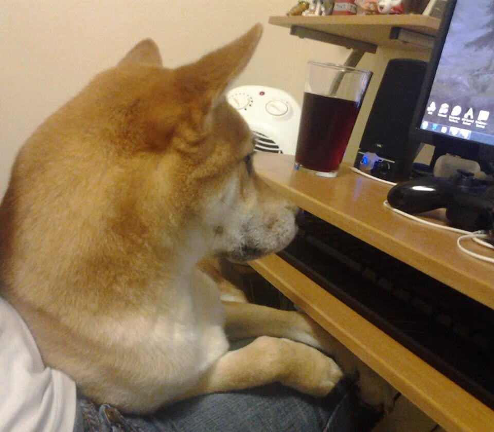 开云全站-石油人年轻力量表现抢眼，石油人就是这样的人