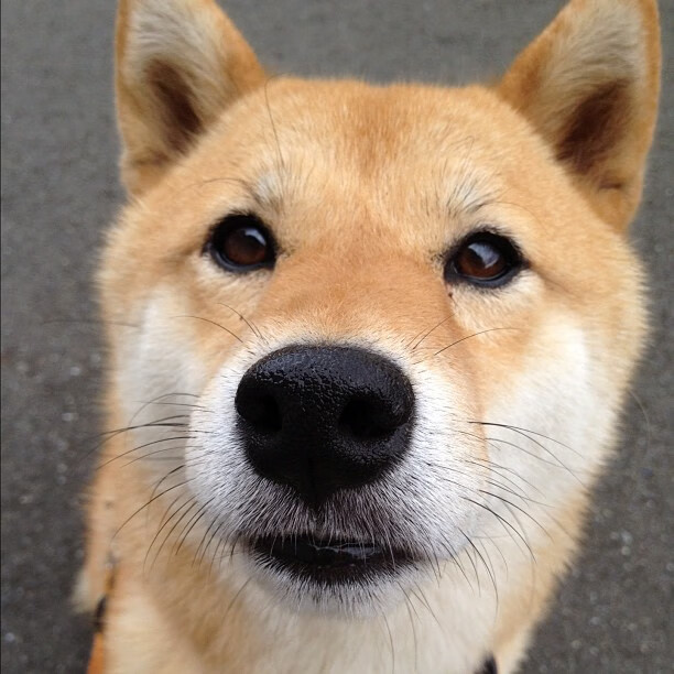 葡萄牙体育比赛精彩瞬间回顾,葡萄牙 体育