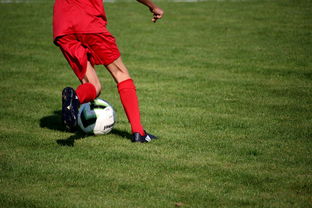 kaiyun-中超球队球员年龄结构，中超球队平均年龄