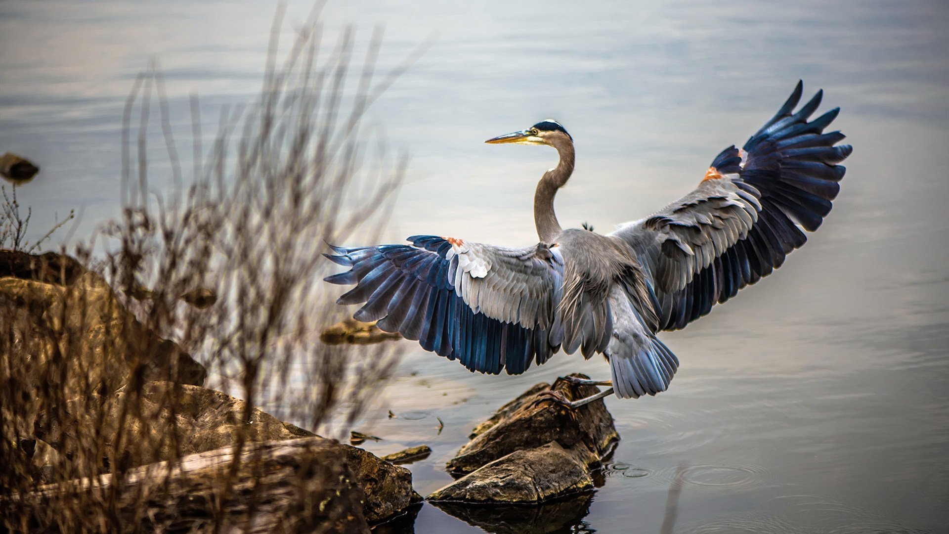 伤病高发位置是否与技术对抗强度相关,伤病治疗过程简述