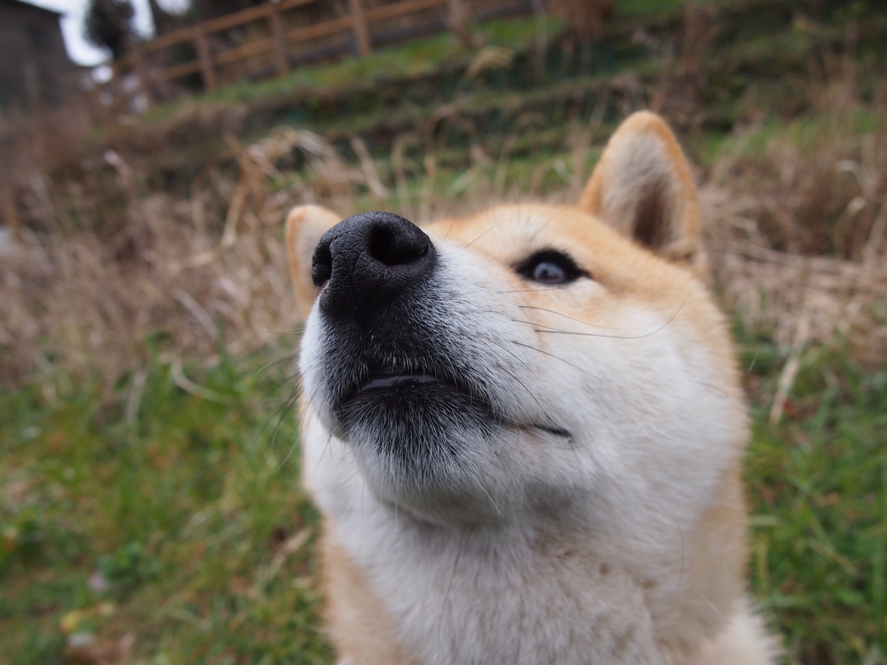 英雄联盟高校联赛热血开打未来之星初露锋芒,英雄联盟未来系列皮肤