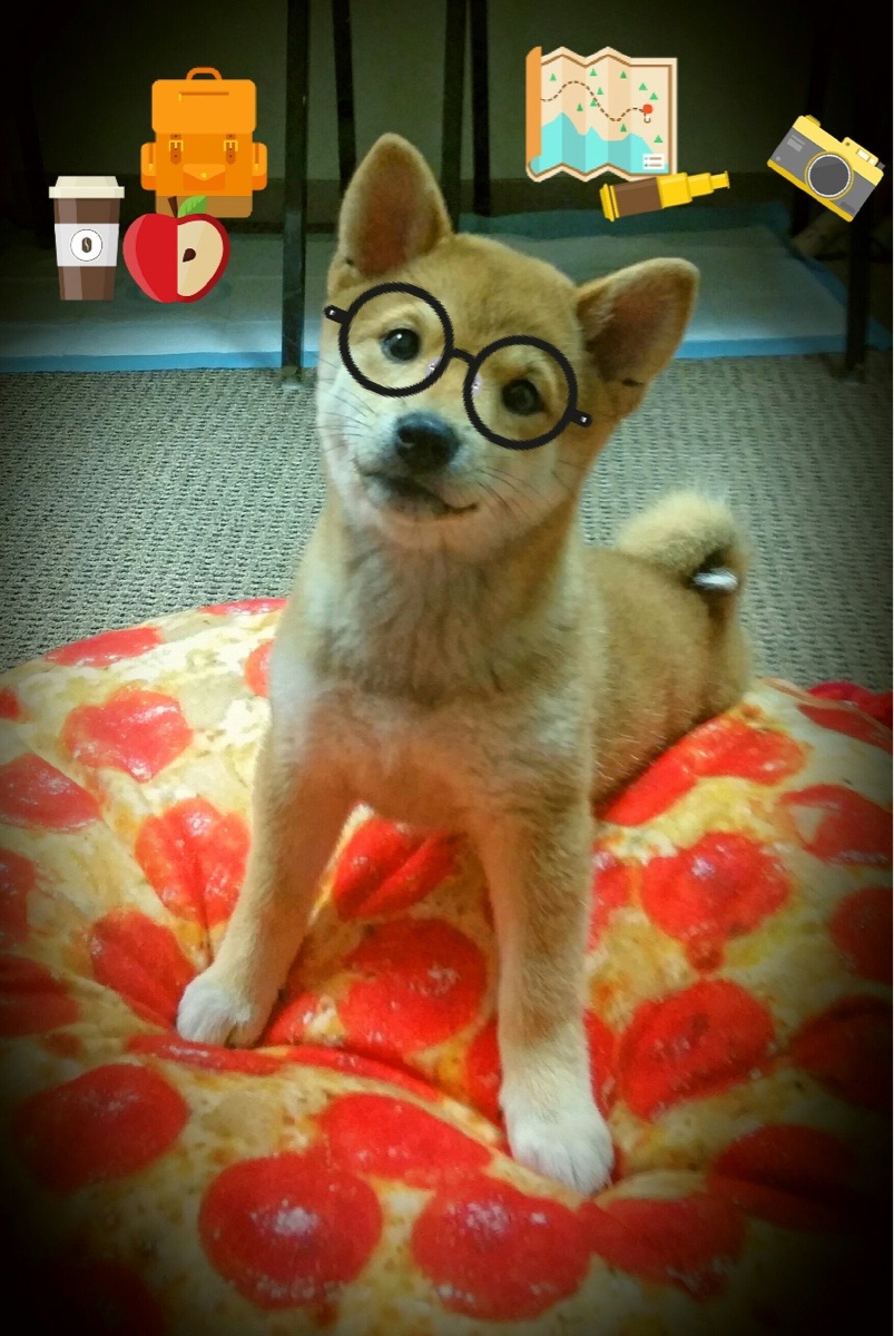 国家击剑协会公告全国排名赛竞赛器材合规标准,全国击剑比赛