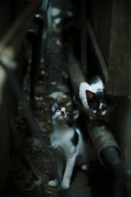 开云网站-国家队训练基地向全国青年开放媒体参观通道，国家体育总局国家队训练基地