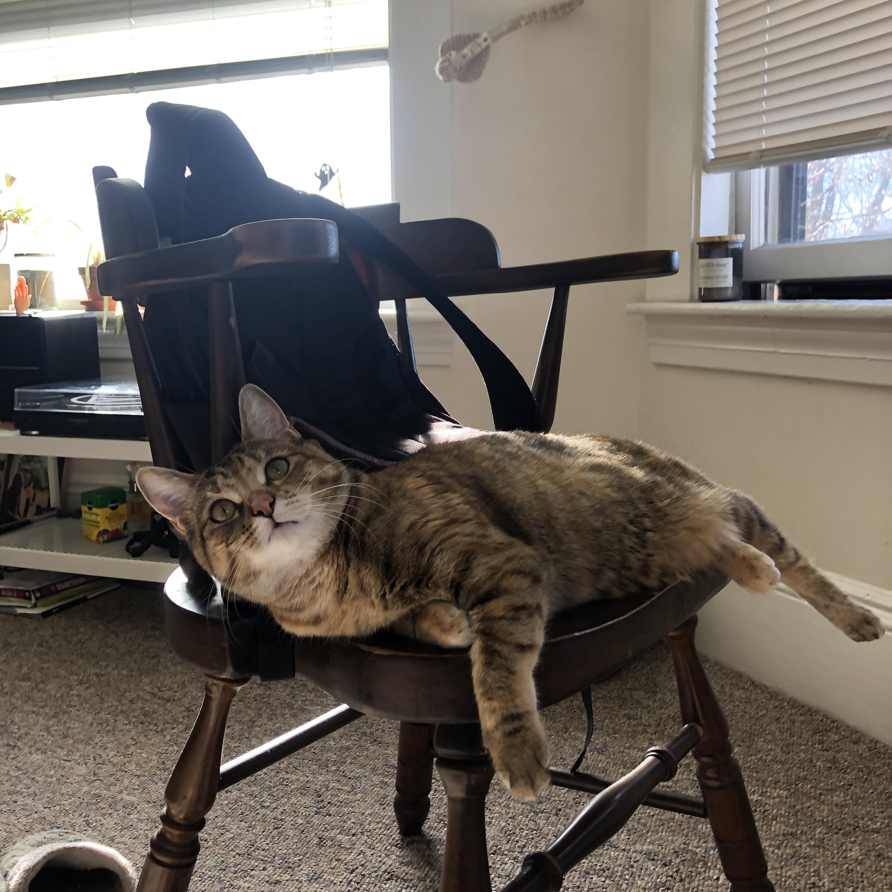 女篮新秀培养注重场上决策能力强化执行质量,女篮球队训练计划